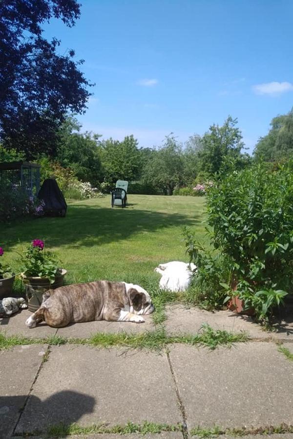 Twenty Bed & Breakfast Skellingthorpe Luaran gambar