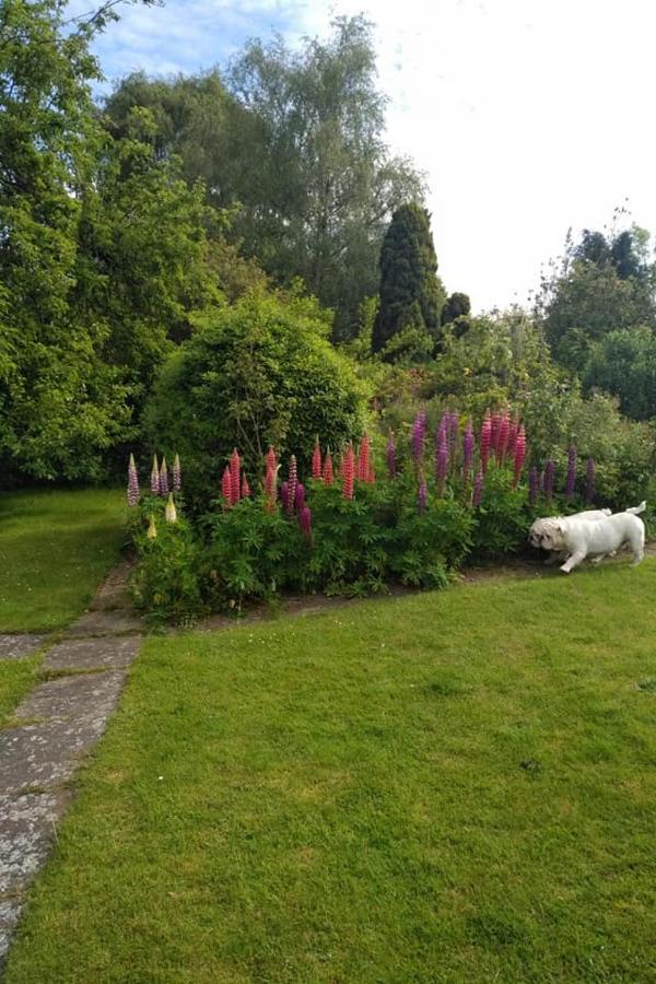 Twenty Bed & Breakfast Skellingthorpe Luaran gambar