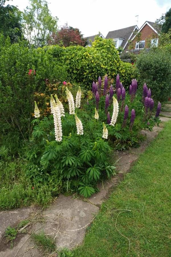 Twenty Bed & Breakfast Skellingthorpe Luaran gambar